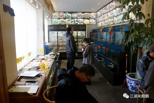 溫州皮革廠倒閉后老板來北京開了一家大排檔